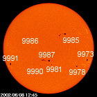 SOHO MDI images of the sun for June 8