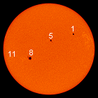 SOHO MDI images of the sun for June 23