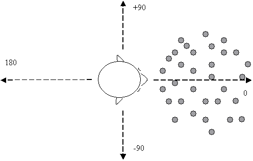top view of halo distribution